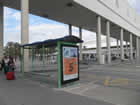 Palma Airport Arrivals, Palma Airport Bus Stop